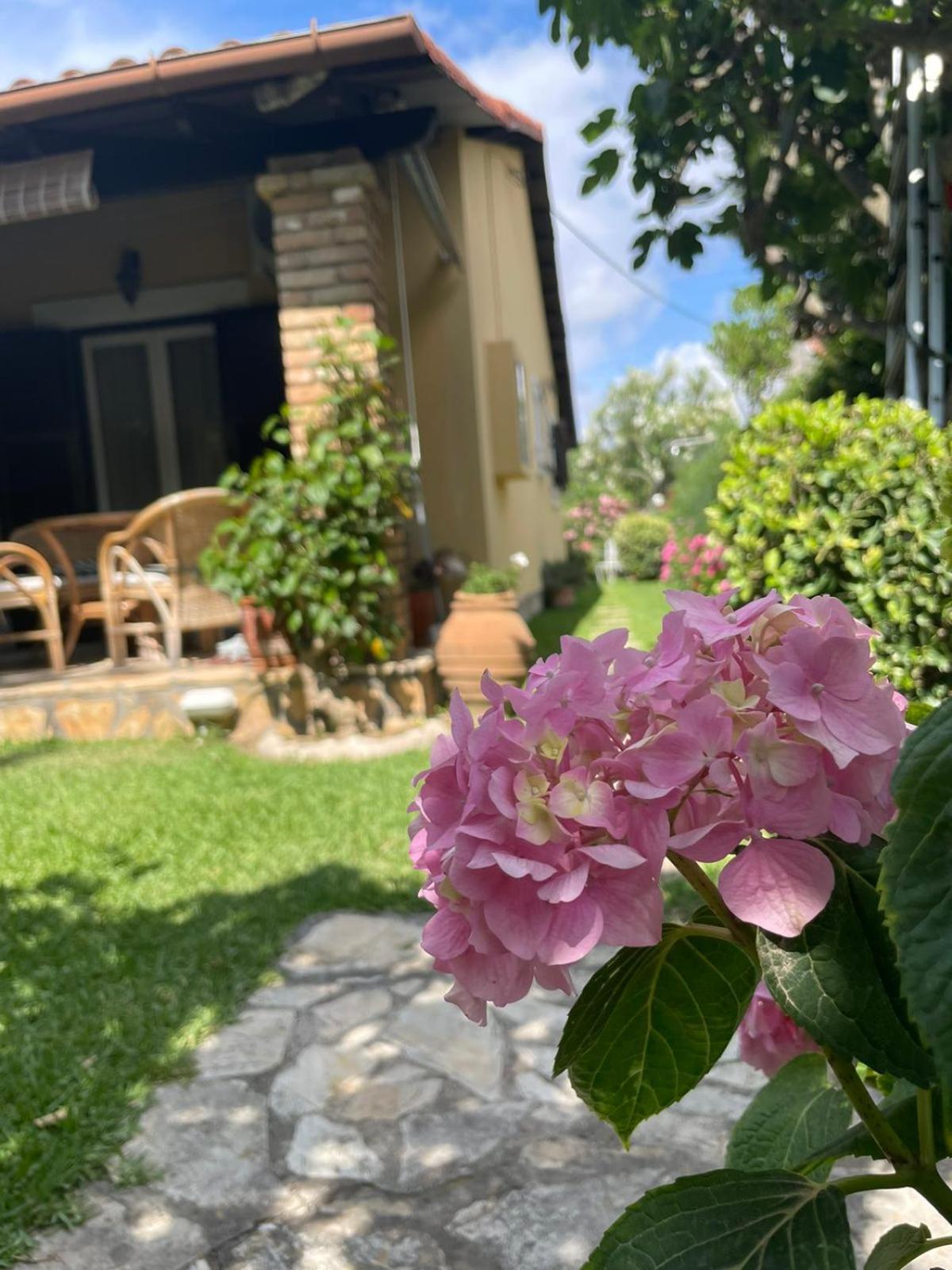 Villa Tina Country Beach Apartments Acharavi  Quarto foto