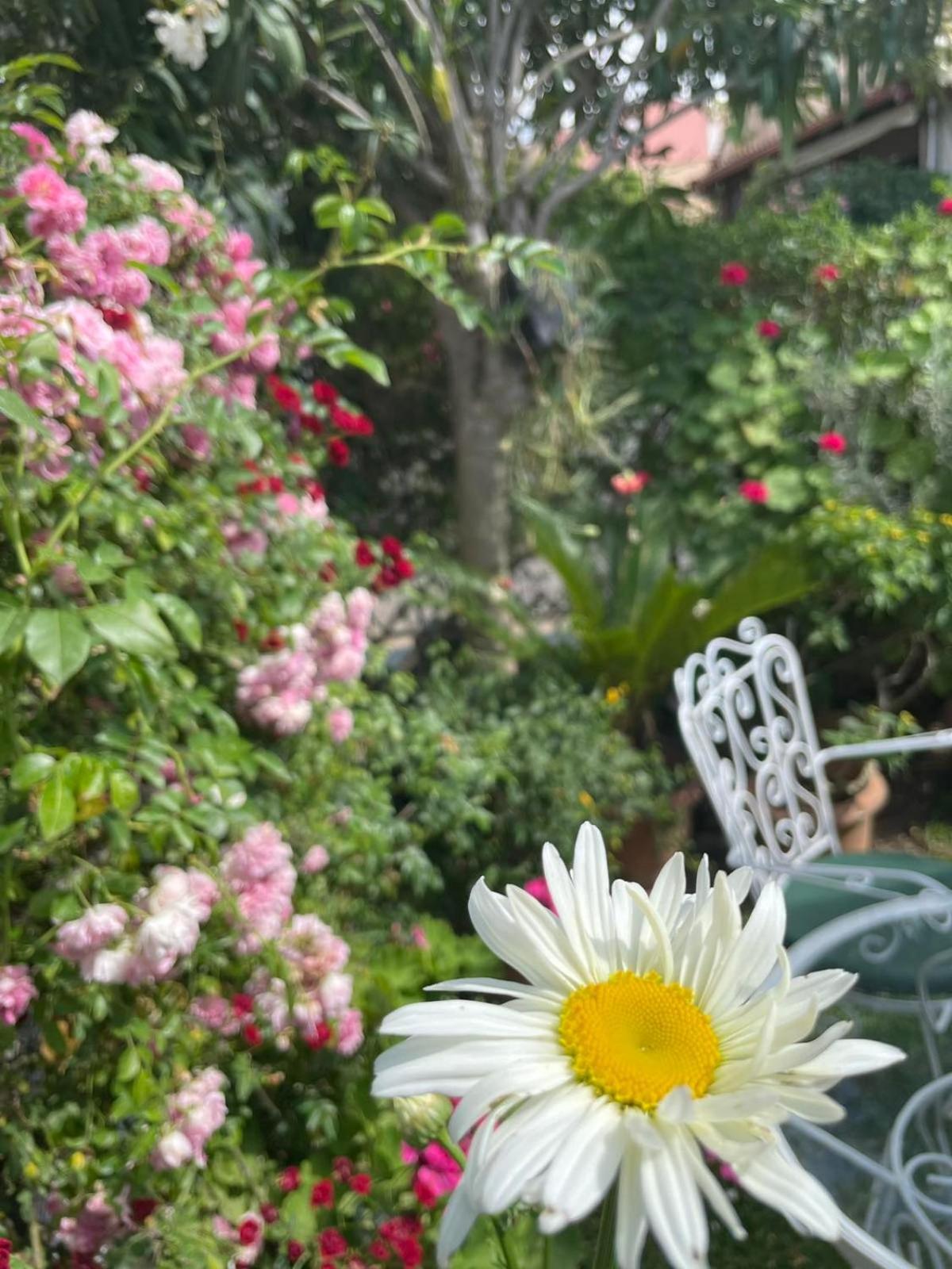 Villa Tina Country Beach Apartments Acharavi  Quarto foto
