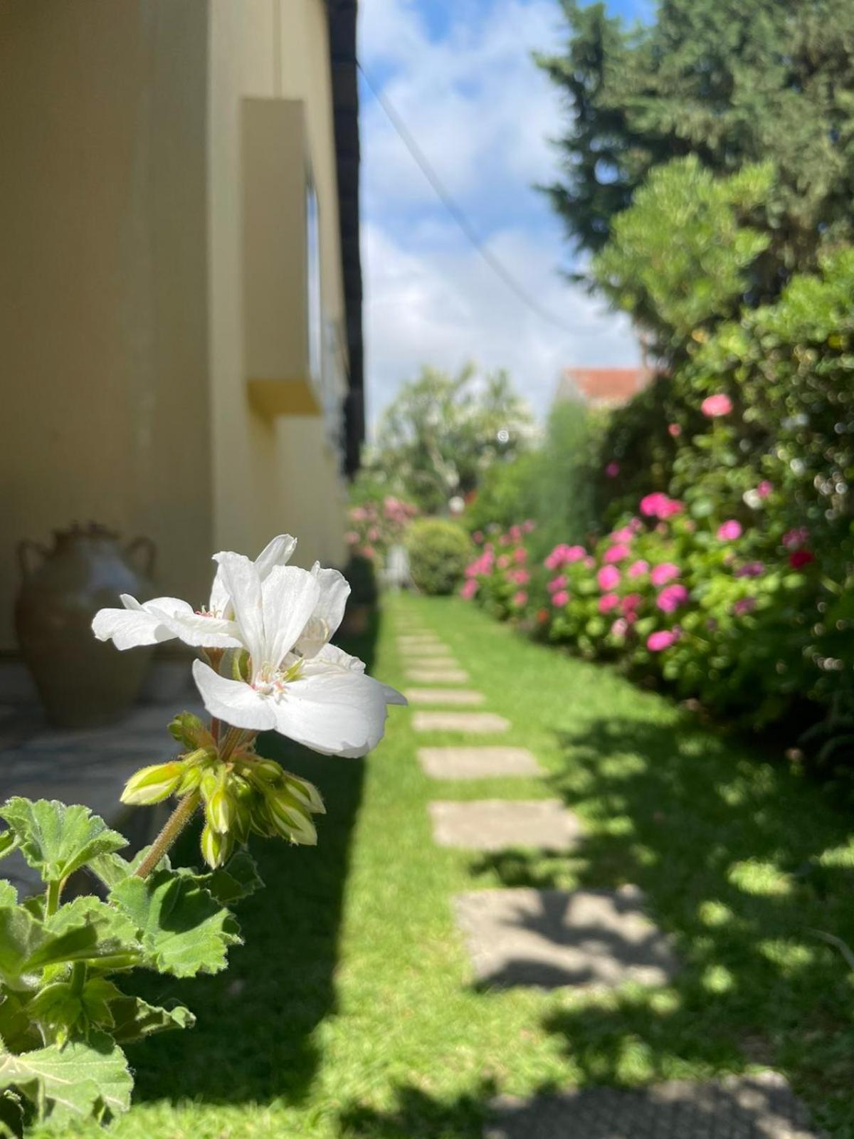 Villa Tina Country Beach Apartments Acharavi  Quarto foto
