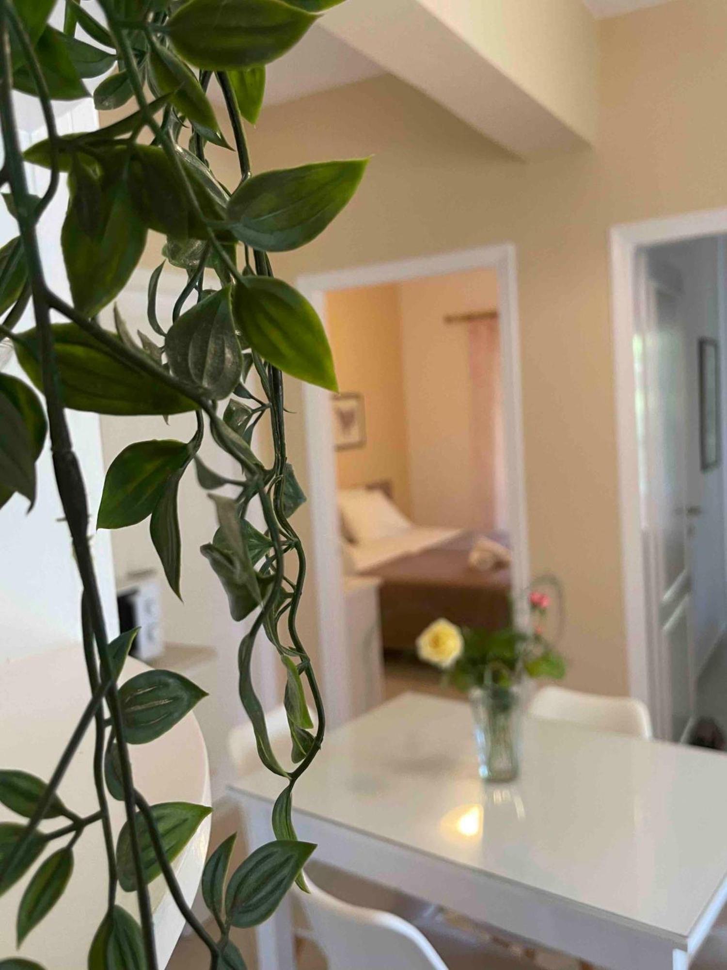 Villa Tina Country Beach Apartments Acharavi  Quarto foto