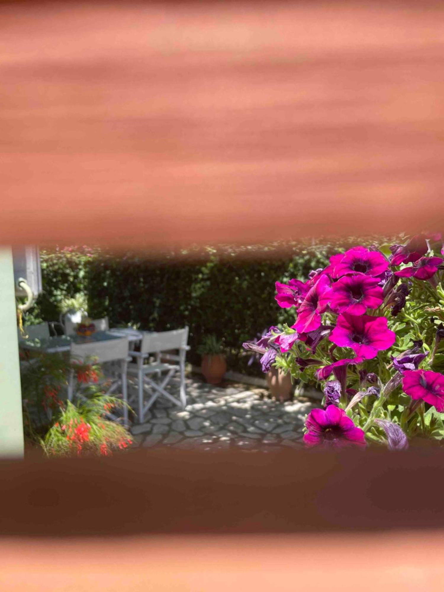 Villa Tina Country Beach Apartments Acharavi  Quarto foto