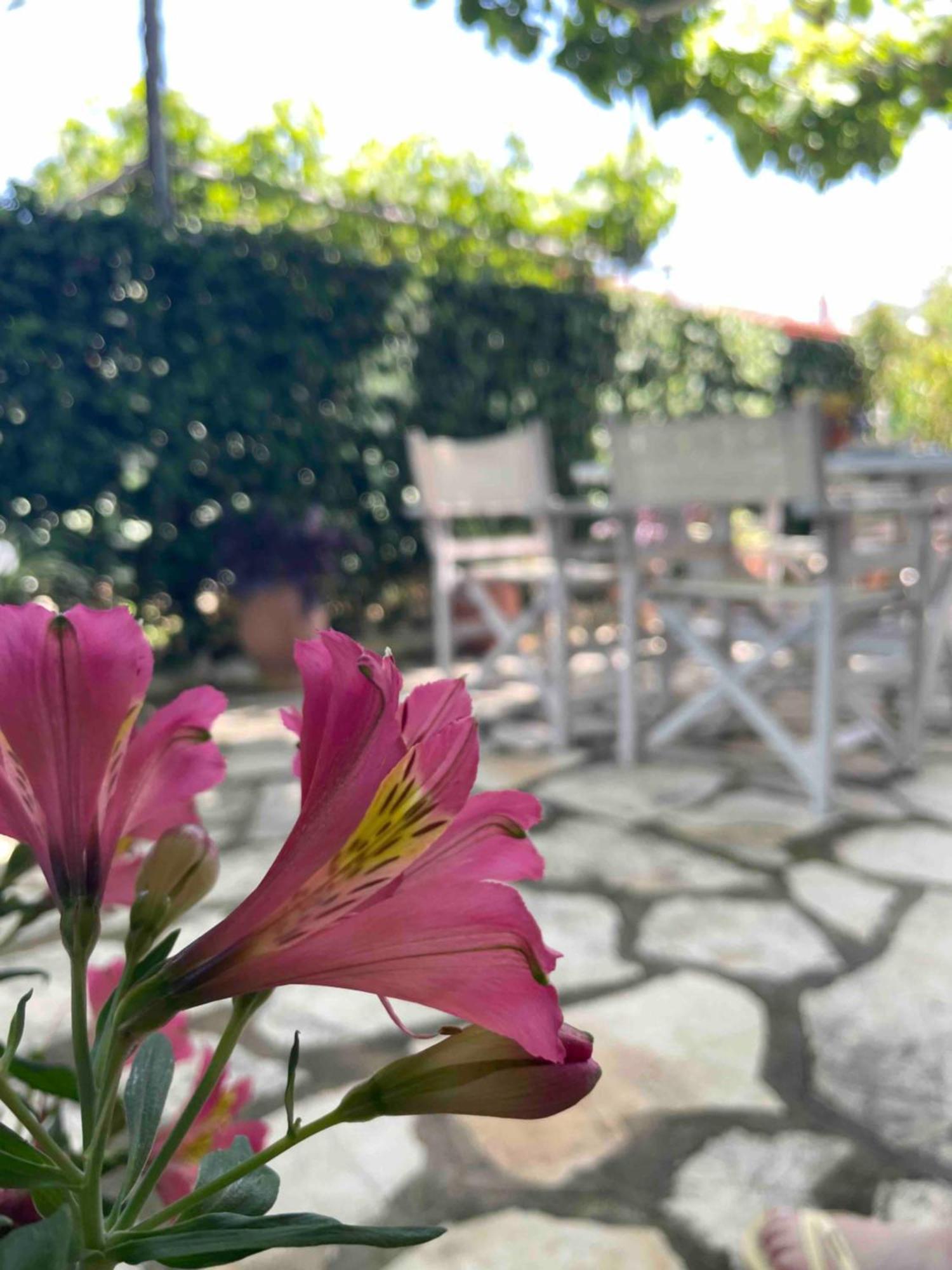 Villa Tina Country Beach Apartments Acharavi  Quarto foto